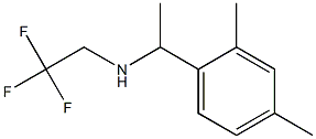 [1-(2,4-dimethylphenyl)ethyl](2,2,2-trifluoroethyl)amine Struktur