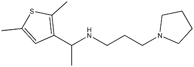 [1-(2,5-dimethylthiophen-3-yl)ethyl][3-(pyrrolidin-1-yl)propyl]amine Struktur