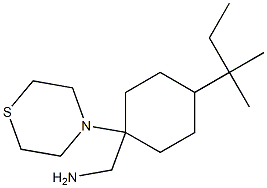 [4-(2-methylbutan-2-yl)-1-(thiomorpholin-4-yl)cyclohexyl]methanamine Struktur