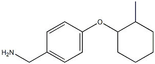 {4-[(2-methylcyclohexyl)oxy]phenyl}methanamine Struktur