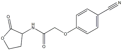 2-(4-cyanophenoxy)-N-(2-oxooxolan-3-yl)acetamide Struktur