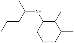 2,3-dimethyl-N-(pentan-2-yl)cyclohexan-1-amine Struktur