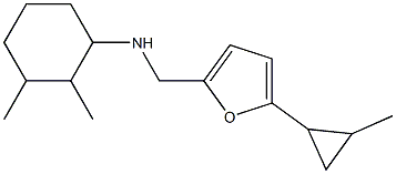 2,3-dimethyl-N-{[5-(2-methylcyclopropyl)furan-2-yl]methyl}cyclohexan-1-amine Struktur