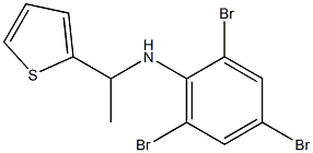 2,4,6-tribromo-N-[1-(thiophen-2-yl)ethyl]aniline Struktur