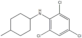 2,4,6-trichloro-N-(4-methylcyclohexyl)aniline Struktur