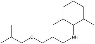 2,6-dimethyl-N-[3-(2-methylpropoxy)propyl]cyclohexan-1-amine Struktur