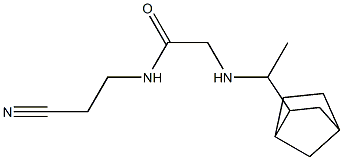 2-[(1-{bicyclo[2.2.1]heptan-2-yl}ethyl)amino]-N-(2-cyanoethyl)acetamide Struktur