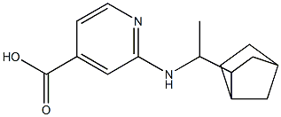 2-[(1-{bicyclo[2.2.1]heptan-2-yl}ethyl)amino]pyridine-4-carboxylic acid Struktur