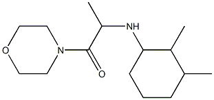 2-[(2,3-dimethylcyclohexyl)amino]-1-(morpholin-4-yl)propan-1-one Struktur