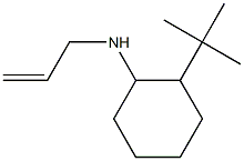 2-tert-butyl-N-(prop-2-en-1-yl)cyclohexan-1-amine Struktur