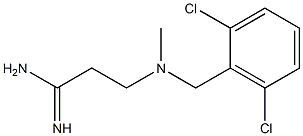 3-{[(2,6-dichlorophenyl)methyl](methyl)amino}propanimidamide Struktur