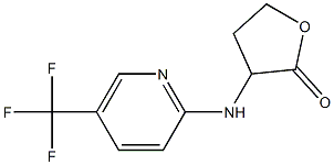 3-{[5-(trifluoromethyl)pyridin-2-yl]amino}oxolan-2-one Struktur