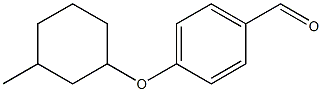 4-[(3-methylcyclohexyl)oxy]benzaldehyde Struktur