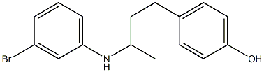 4-{3-[(3-bromophenyl)amino]butyl}phenol Struktur