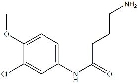 4-amino-N-(3-chloro-4-methoxyphenyl)butanamide Struktur