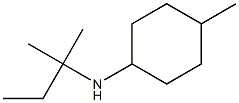 4-methyl-N-(2-methylbutan-2-yl)cyclohexan-1-amine Struktur