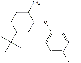 4-tert-butyl-2-(4-ethylphenoxy)cyclohexan-1-amine Struktur