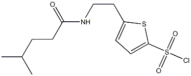 5-[2-(4-methylpentanamido)ethyl]thiophene-2-sulfonyl chloride Struktur