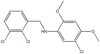 5-chloro-N-[(2,3-dichlorophenyl)methyl]-2,4-dimethoxyaniline Struktur