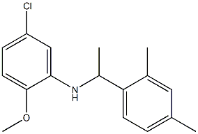 5-chloro-N-[1-(2,4-dimethylphenyl)ethyl]-2-methoxyaniline Struktur