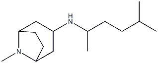 8-methyl-N-(5-methylhexan-2-yl)-8-azabicyclo[3.2.1]octan-3-amine Struktur