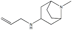 8-methyl-N-(prop-2-en-1-yl)-8-azabicyclo[3.2.1]octan-3-amine Struktur