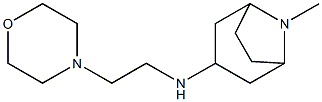 8-methyl-N-[2-(morpholin-4-yl)ethyl]-8-azabicyclo[3.2.1]octan-3-amine Struktur