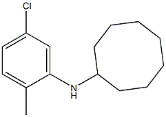 N-(5-chloro-2-methylphenyl)cyclooctanamine Struktur