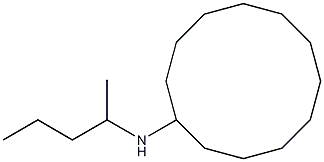 N-(pentan-2-yl)cyclododecanamine Struktur