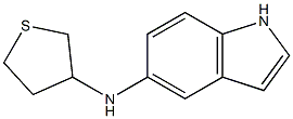 N-(thiolan-3-yl)-1H-indol-5-amine Struktur