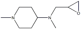 N,1-dimethyl-N-(oxiran-2-ylmethyl)piperidin-4-amine Struktur