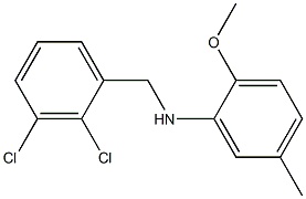 N-[(2,3-dichlorophenyl)methyl]-2-methoxy-5-methylaniline Struktur