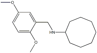 N-[(2,5-dimethoxyphenyl)methyl]cyclooctanamine Struktur