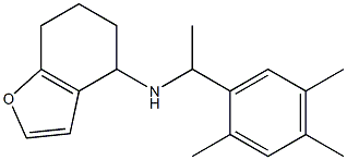 N-[1-(2,4,5-trimethylphenyl)ethyl]-4,5,6,7-tetrahydro-1-benzofuran-4-amine Struktur