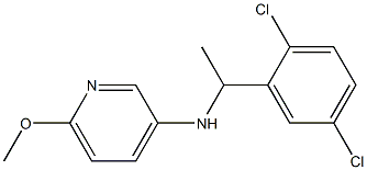 N-[1-(2,5-dichlorophenyl)ethyl]-6-methoxypyridin-3-amine Struktur