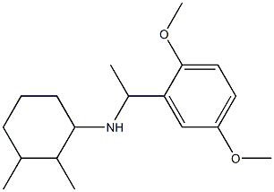 N-[1-(2,5-dimethoxyphenyl)ethyl]-2,3-dimethylcyclohexan-1-amine Struktur