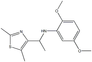 N-[1-(2,5-dimethyl-1,3-thiazol-4-yl)ethyl]-2,5-dimethoxyaniline Struktur