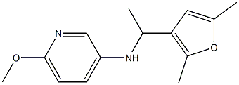 N-[1-(2,5-dimethylfuran-3-yl)ethyl]-6-methoxypyridin-3-amine Struktur