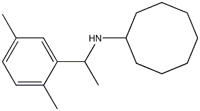 N-[1-(2,5-dimethylphenyl)ethyl]cyclooctanamine Struktur