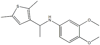 N-[1-(2,5-dimethylthiophen-3-yl)ethyl]-3,4-dimethoxyaniline Struktur