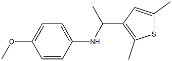 N-[1-(2,5-dimethylthiophen-3-yl)ethyl]-4-methoxyaniline Struktur