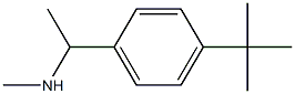 N-[1-(4-tert-butylphenyl)ethyl]-N-methylamine Struktur