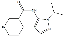 N-[1-(propan-2-yl)-1H-pyrazol-5-yl]piperidine-3-carboxamide Struktur