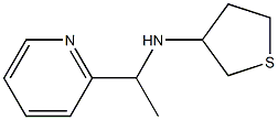 N-[1-(pyridin-2-yl)ethyl]thiolan-3-amine Struktur