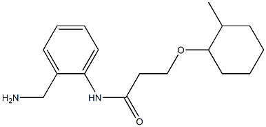 N-[2-(aminomethyl)phenyl]-3-[(2-methylcyclohexyl)oxy]propanamide Struktur