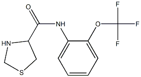 N-[2-(trifluoromethoxy)phenyl]-1,3-thiazolidine-4-carboxamide Struktur