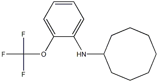 N-[2-(trifluoromethoxy)phenyl]cyclooctanamine Struktur