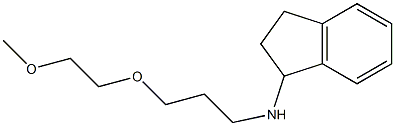 N-[3-(2-methoxyethoxy)propyl]-2,3-dihydro-1H-inden-1-amine Struktur