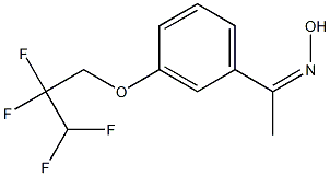 N-{1-[3-(2,2,3,3-tetrafluoropropoxy)phenyl]ethylidene}hydroxylamine Struktur