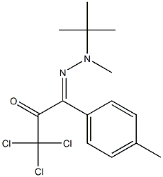 1-[2-Methyl-2-(tert-butyl)hydrazono]-1-(p-tolyl)-3,3,3-trichloro-2-propanone Struktur